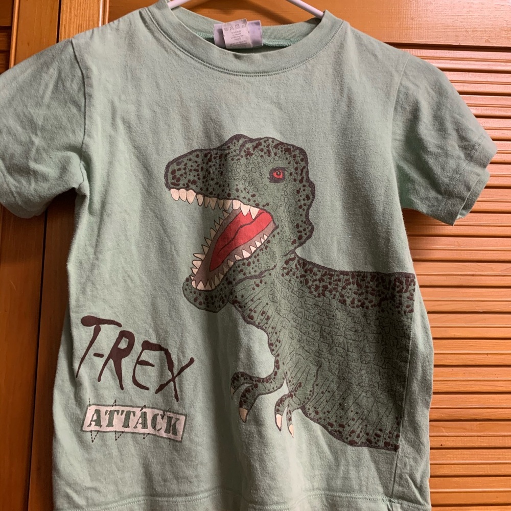 Boys t-Rex 🦖 shirt (Big Fish)